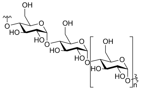 12024368.png