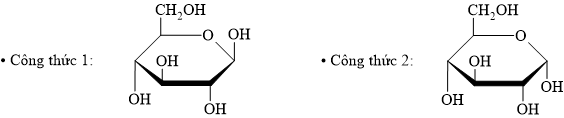12024438.png