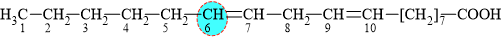 43255-2.png
