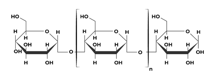 amilose.png