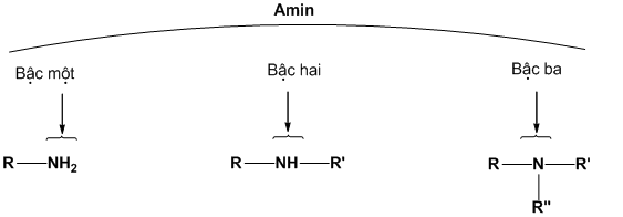 bacamin.png