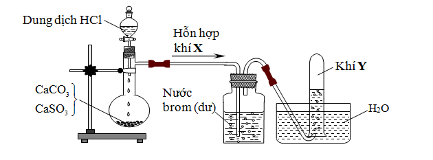 DHV 03.png