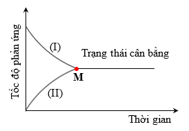 10174669.png