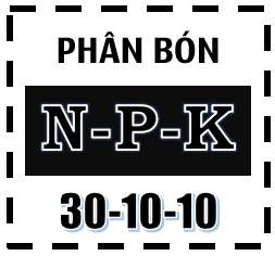 9565024sua.png
