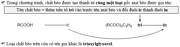 goi-ten-chat-beo.png