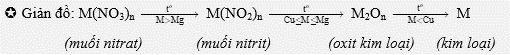 nhietphanmuoinitrat.png
