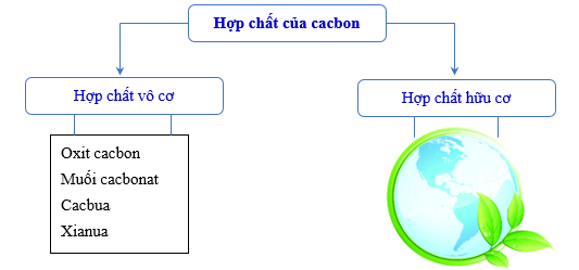 phan-loai-hchc.png