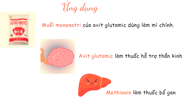 ung-dung-aminoaxit.png