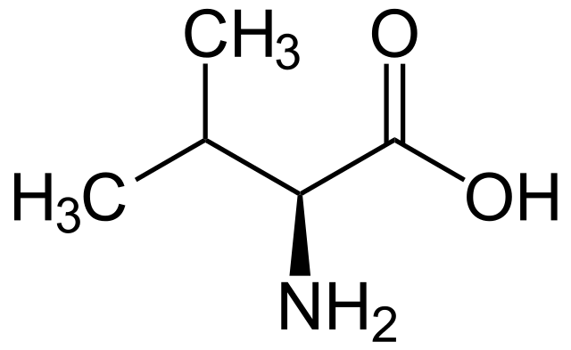 valin.png