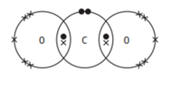 975701C.png