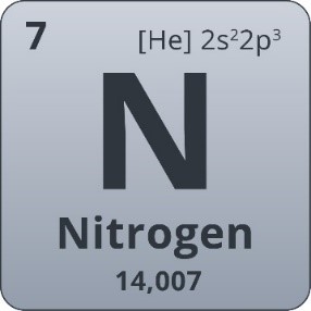 977849.jpg