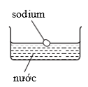 982538d.png