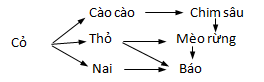 15.png