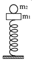 28.PNG