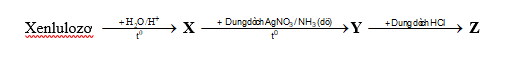 e.png