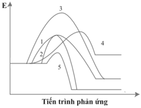 10039630.png