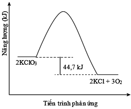 10118279a.png