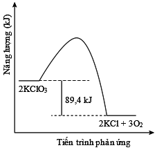 10118279b.png