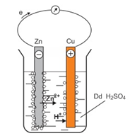 pin dien hoa.png