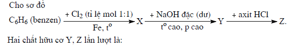 tung_12n1.bmp