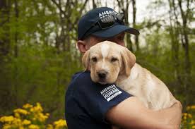 humane