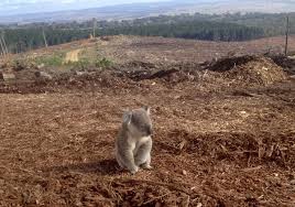 Habitat loss