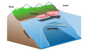 Upwelling