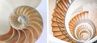biomimicry