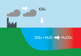 Acidification