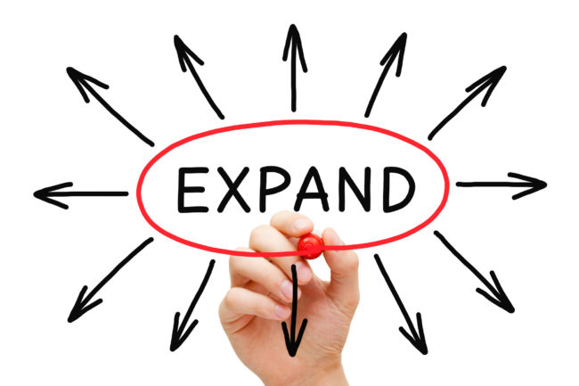 expand into sth