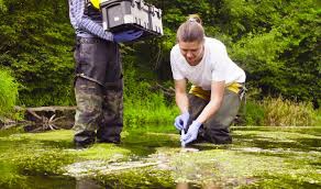ecologists