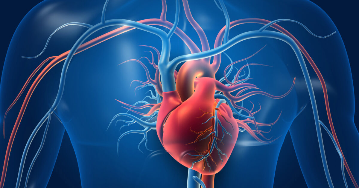 cardiovascular