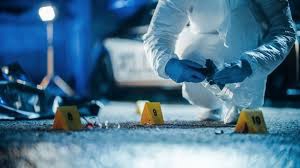 Forensic investigations