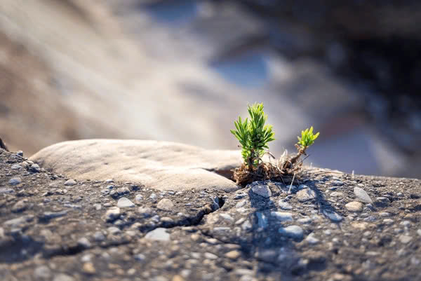 break new ground