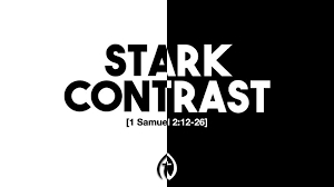 stand in stark contrast