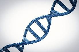 genetics