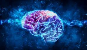 neuroscience