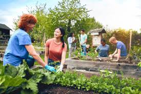 community garden