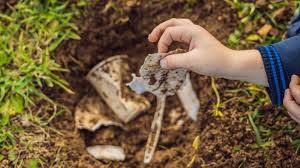 biodegradable