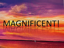 magnificent