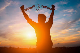 free from sth