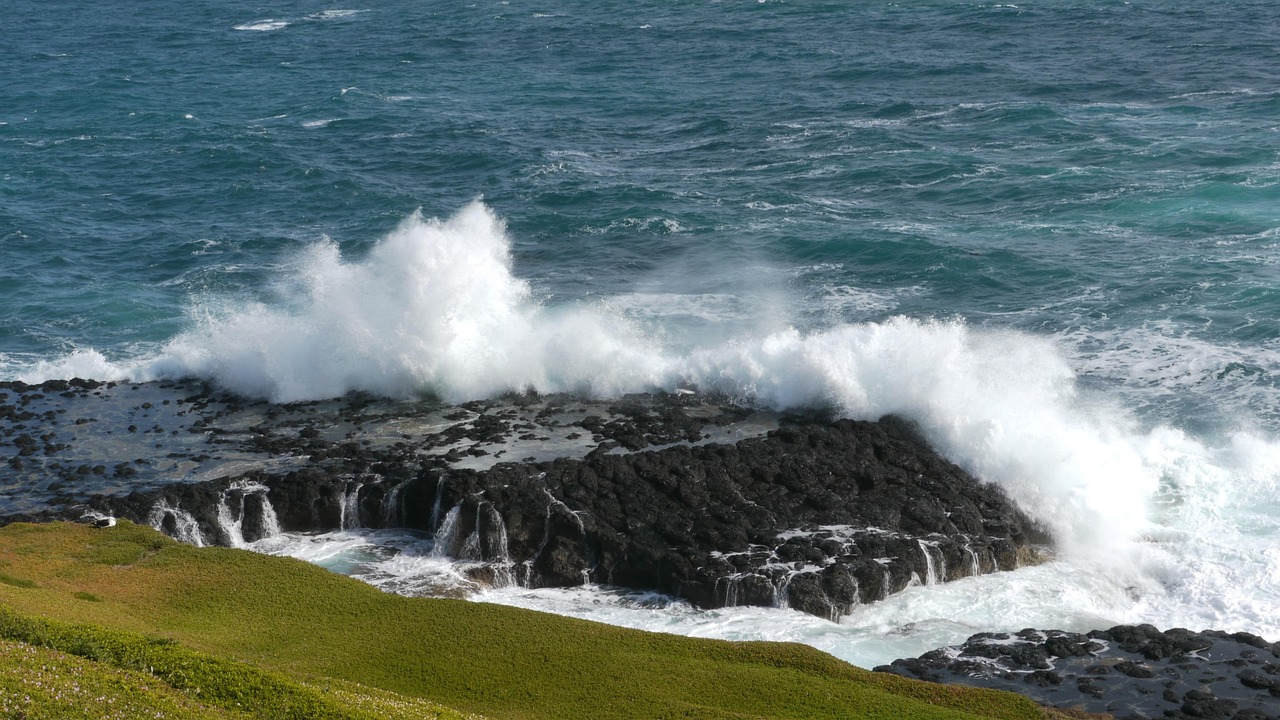 a flood of