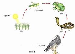 a sequence of