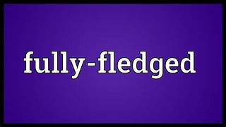 fully-fledged