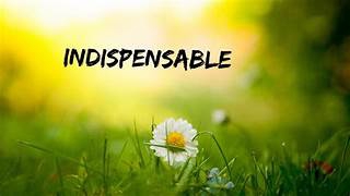 Indispensable