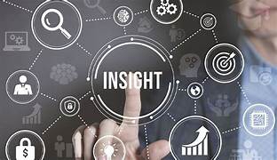 gain insights into/on/about sth