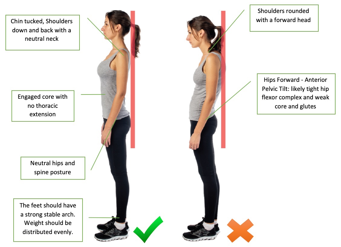 posture