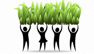 grassroots initiative