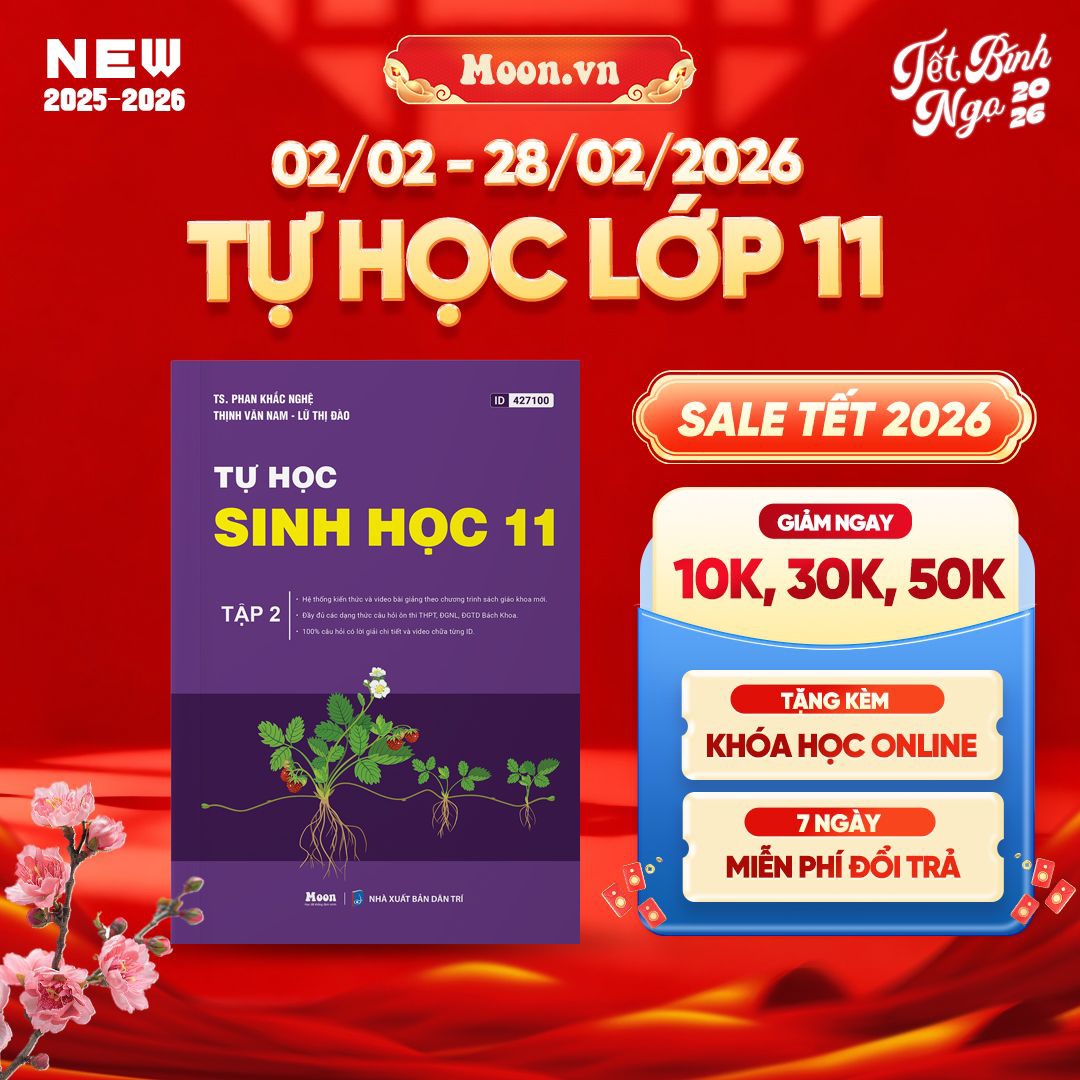 [2025-2026] Tự học Sinh học lớp 11 Tập 2 