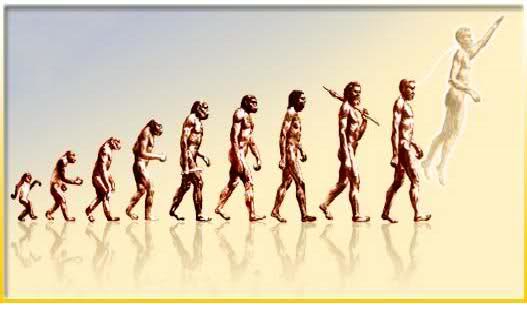 be evolved into sth